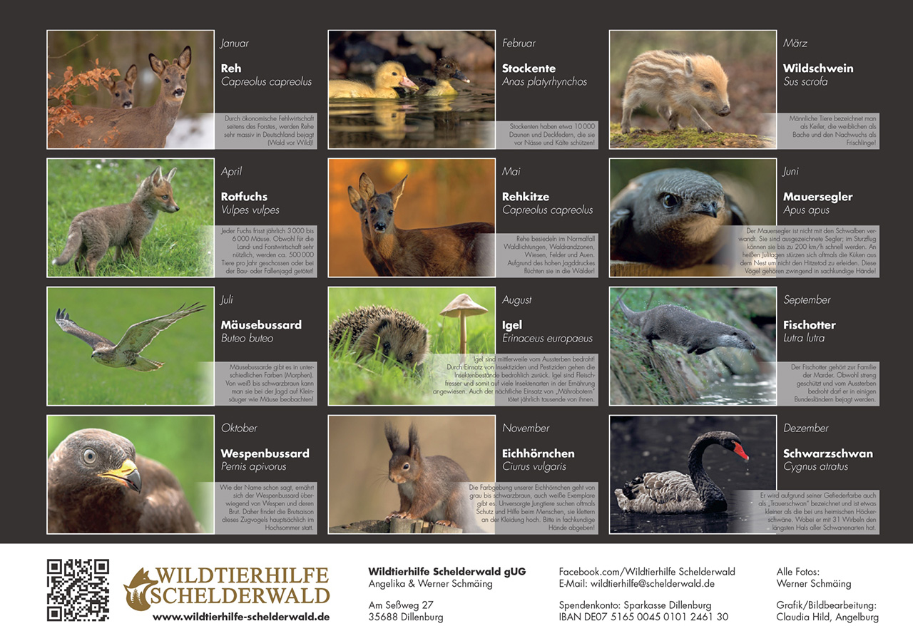 13_Rueckseite_A4__Zusatztext