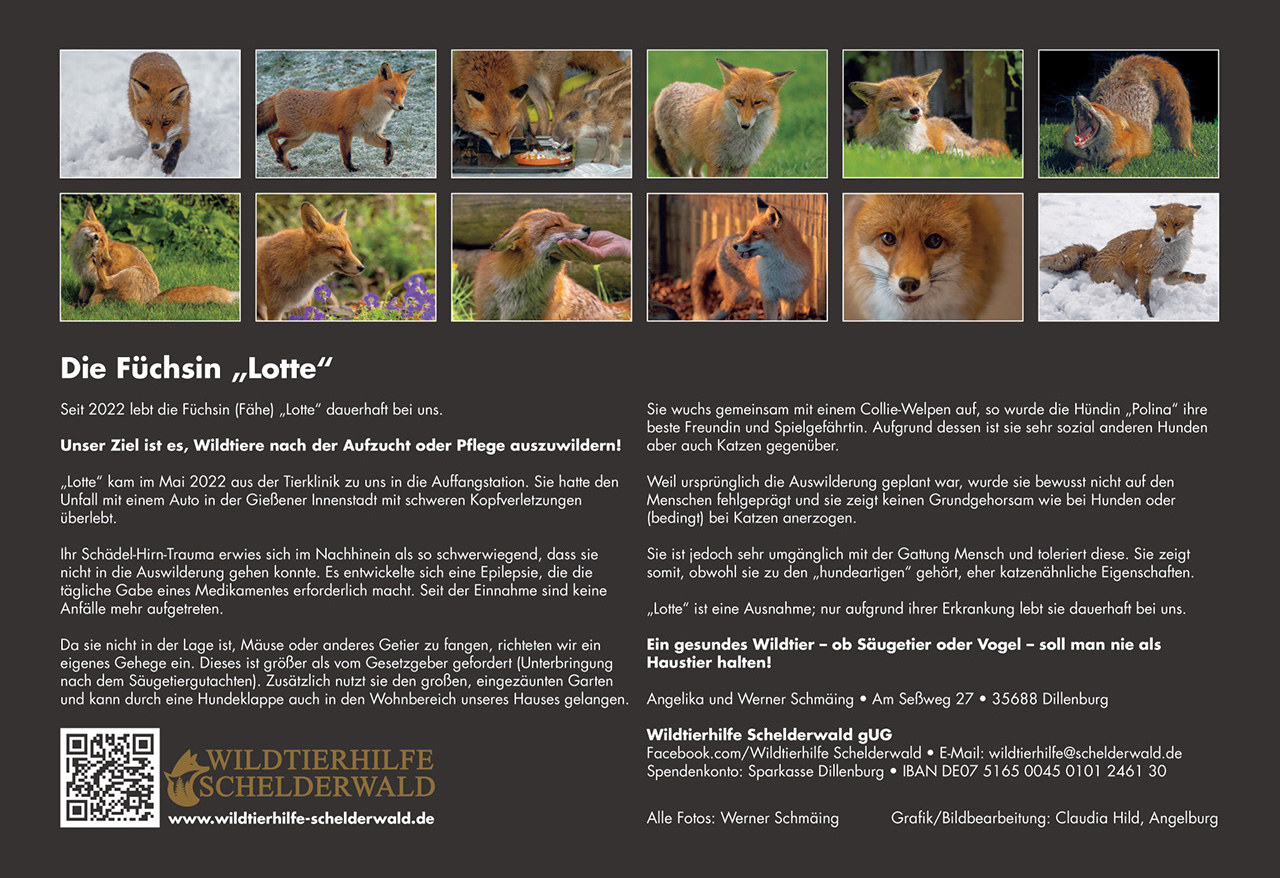 13_Rueckseite_A4__Zusatztext